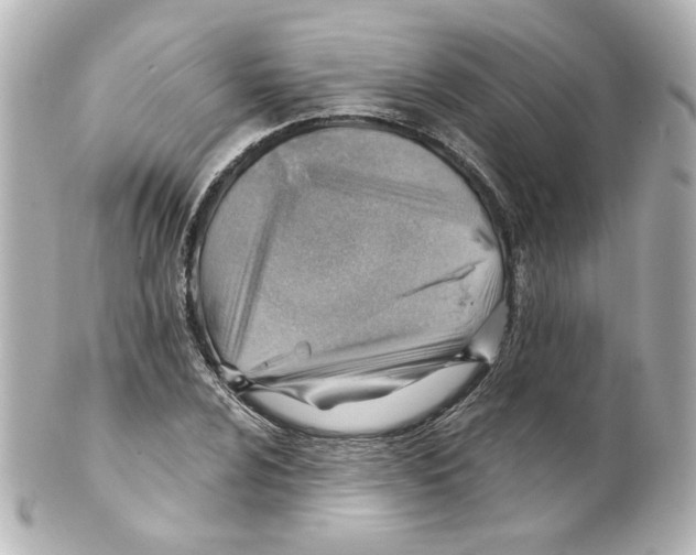 X0000101471024200808041100