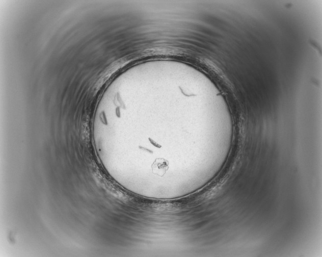 X0000101471025200808041100