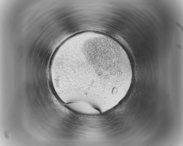 X0000101471028200808041100