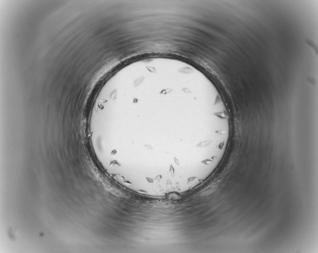 X0000101471029200808041100