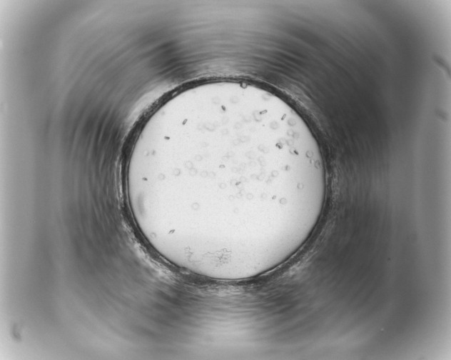 X0000101471030200808041100