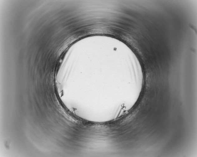 X0000101471033200808041100