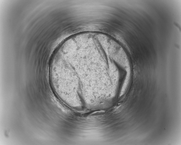 X0000101471035200808041100