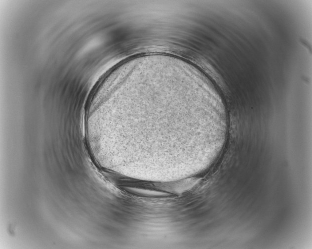 X0000101471036200808041100