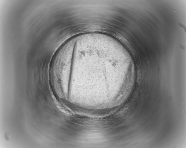 X0000101471039200808041100