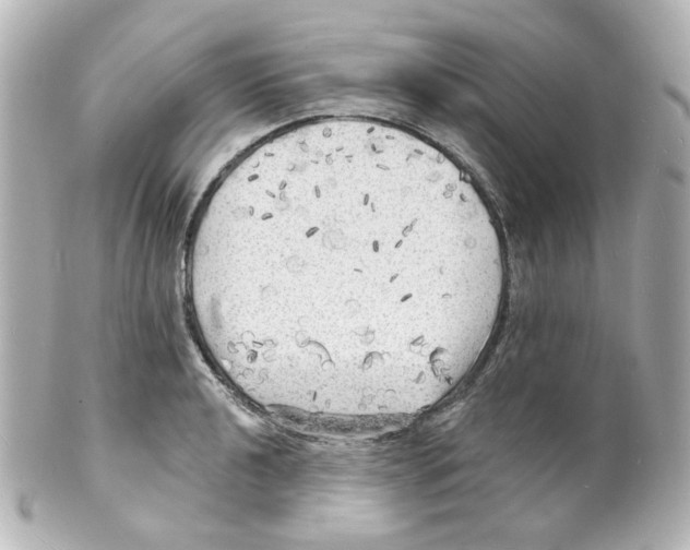 X0000101471040200808041100