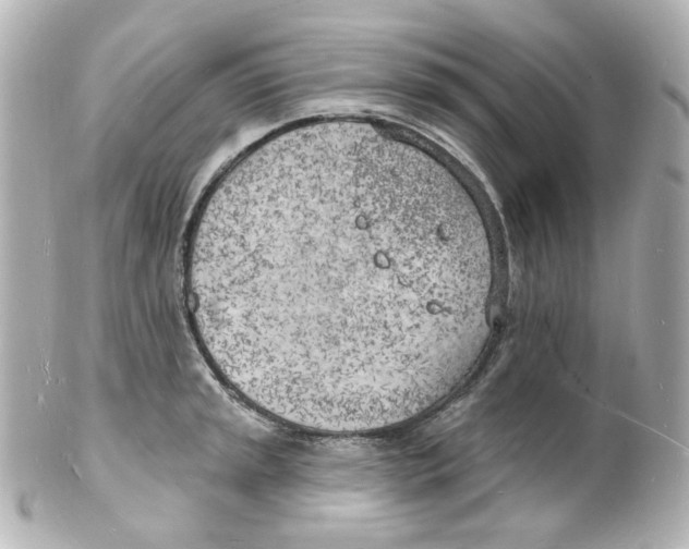 X0000101471045200808041100