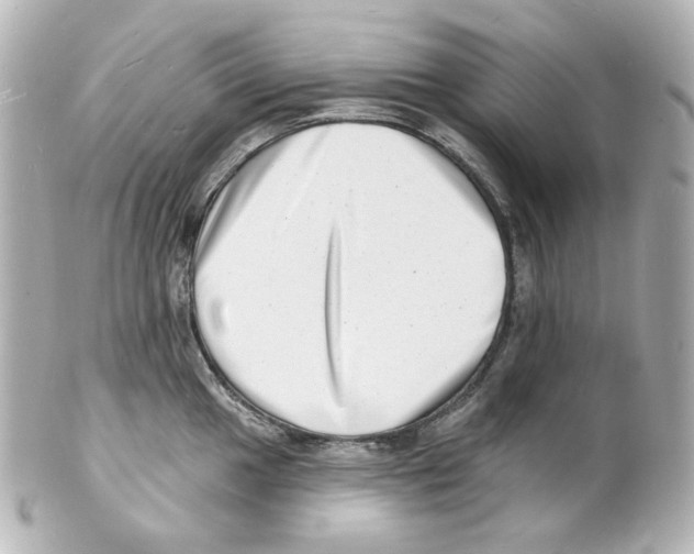 X0000101471049200808041100