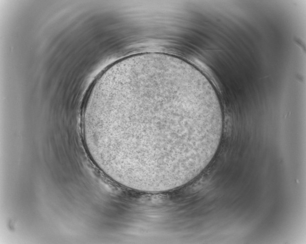 X0000101471051200808041101