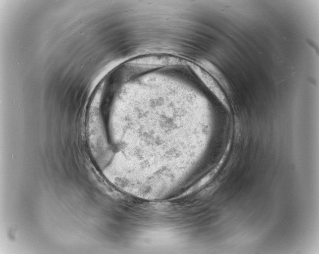 X0000101471052200808041101