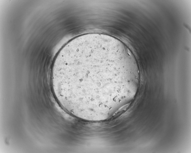 X0000101471054200808041101