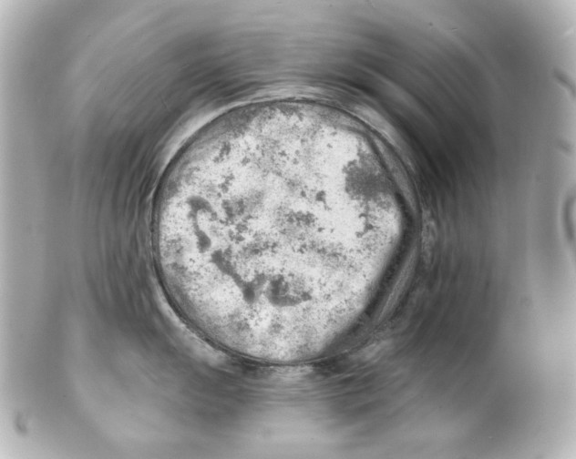 X0000101471055200808041101