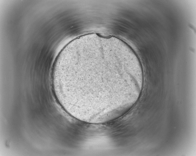 X0000101471056200808041101