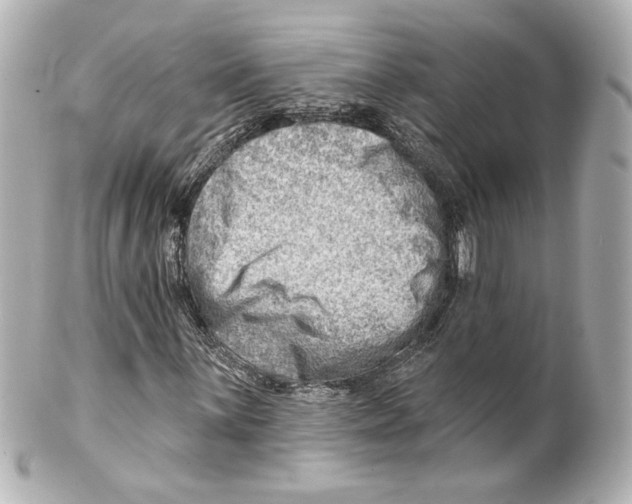 X0000101471059200808041100