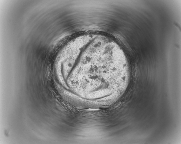 X0000101471063200808041100