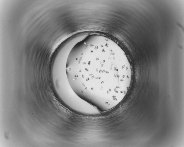 X0000101471069200808041100