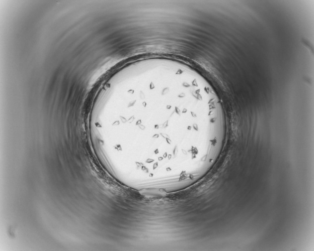 X0000101471070200808041100