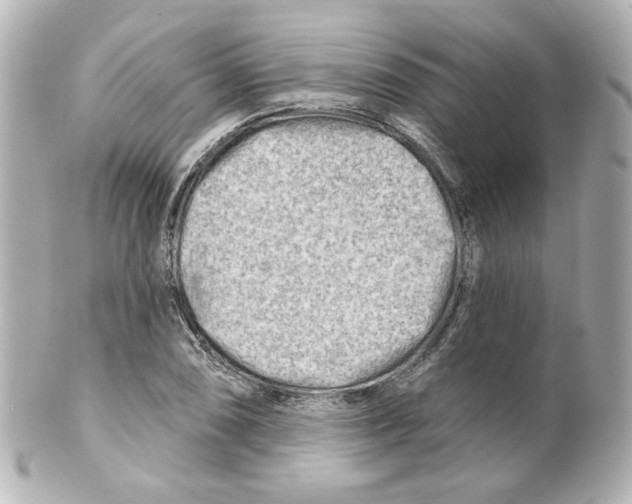 X0000101471074200808041100