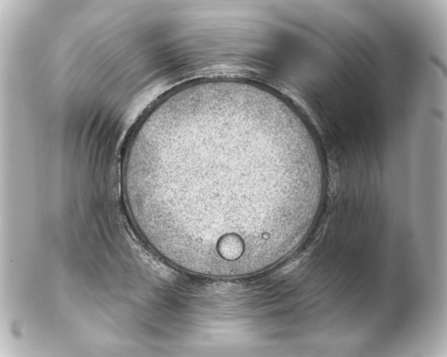 X0000101471075200808041100