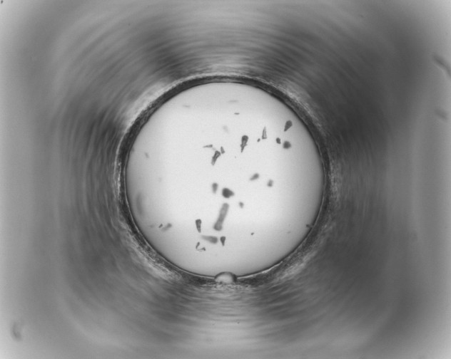 X0000101471077200808041100