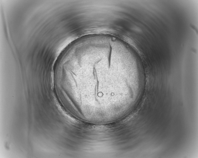 X0000101471079200808041100