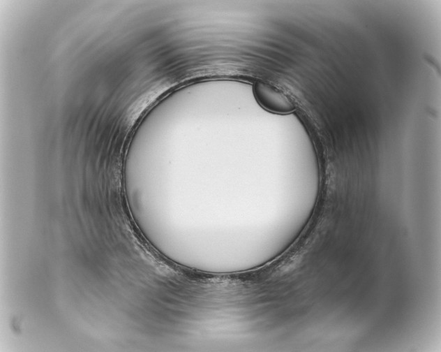 X0000101471081200808041100