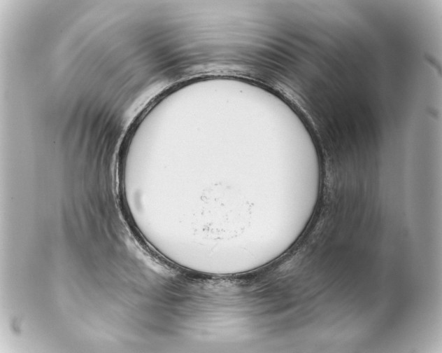 X0000101471082200808041100