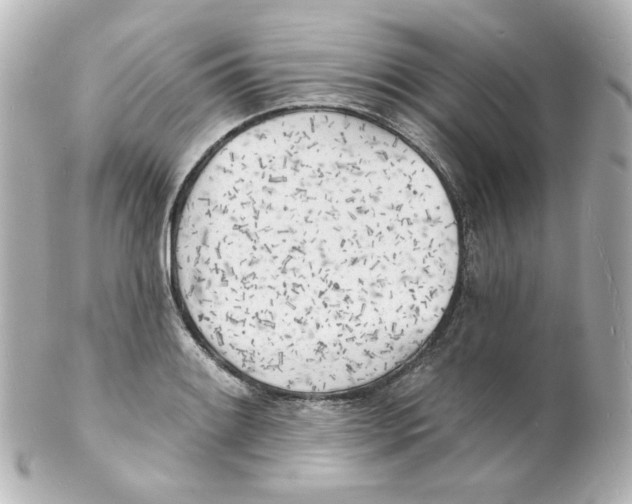 X0000101471084200808041100