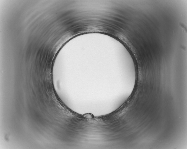 X0000101471089200808041059