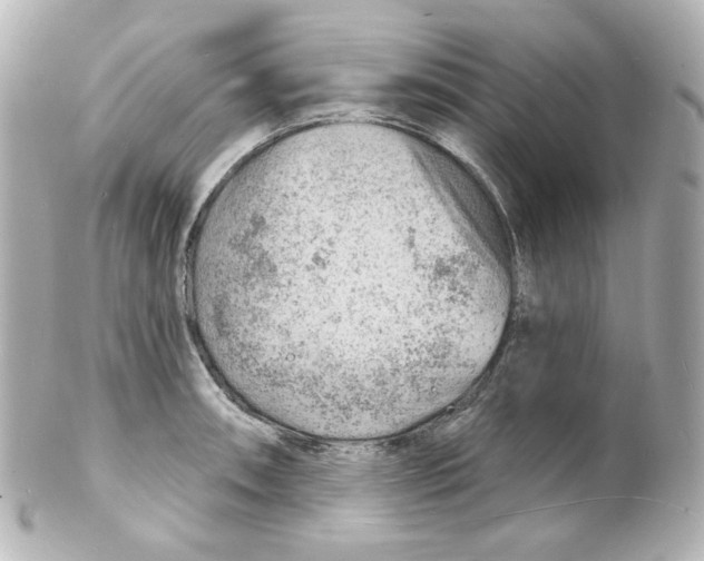 X0000101471090200808041059