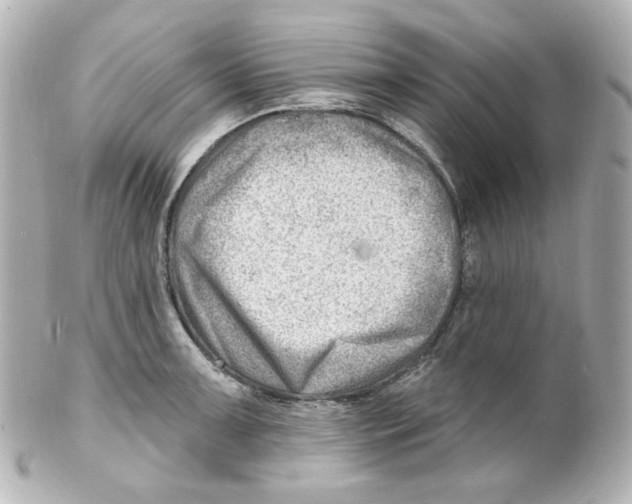 X0000101471091200808041059