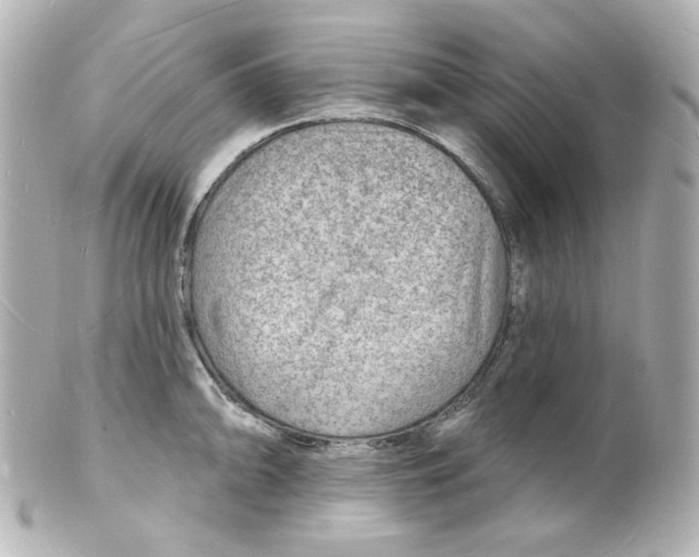 X0000101471094200808041059