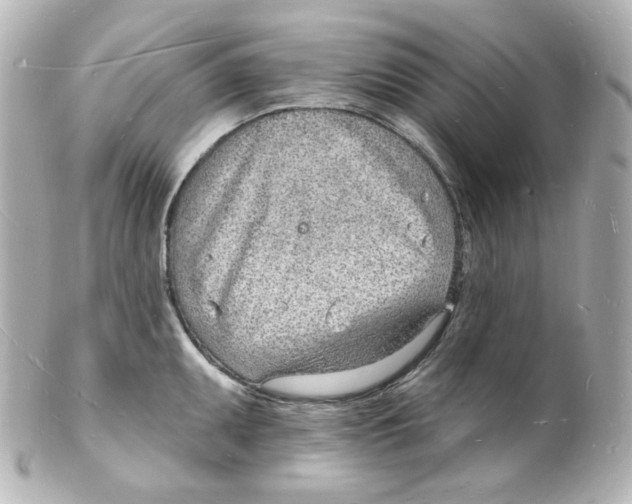 X0000101471095200808041059