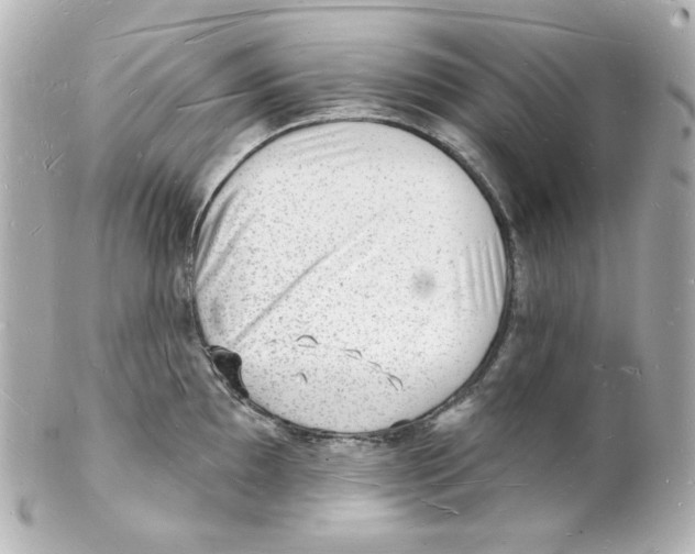 X0000101471097200808041059