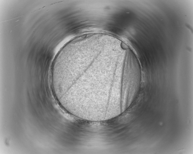 X0000101471098200808041059