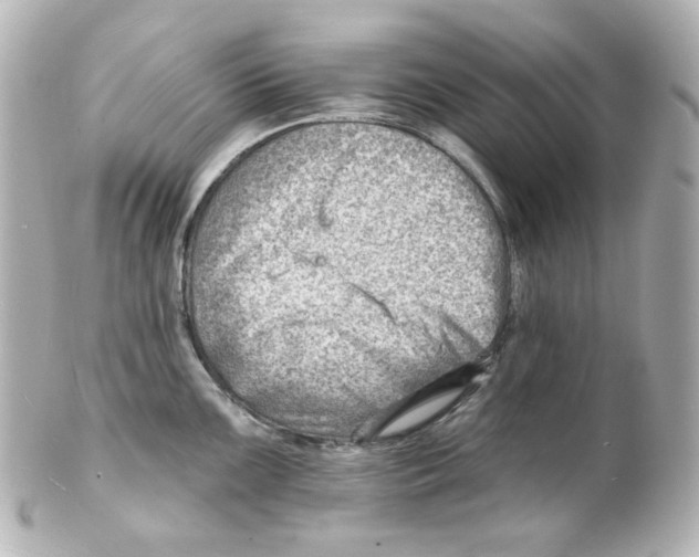 X0000101471099200808041059