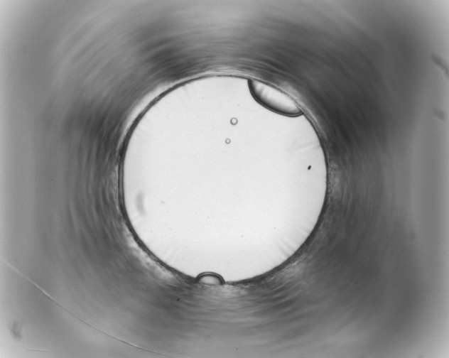 X0000101471100200808041059