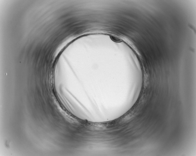 X0000101471101200808041059