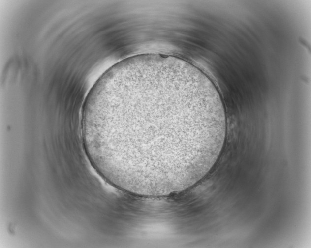 X0000101471103200808041059