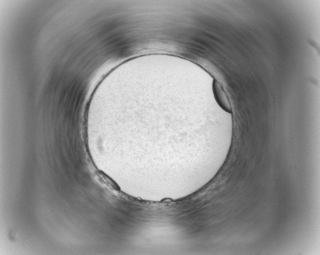 X0000101471104200808041059