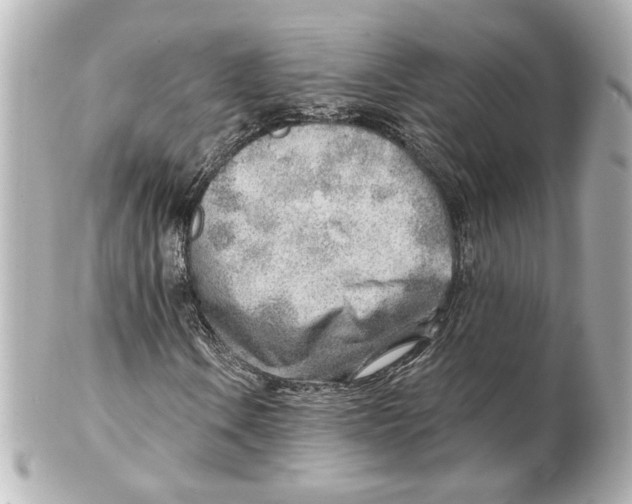 X0000101471106200808041058