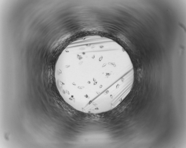 X0000101471111200808041058