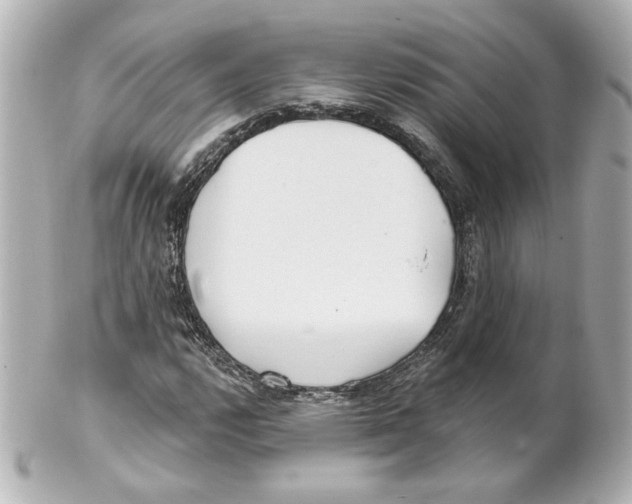 X0000101471112200808041058