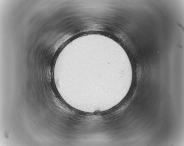 X0000101471113200808041059