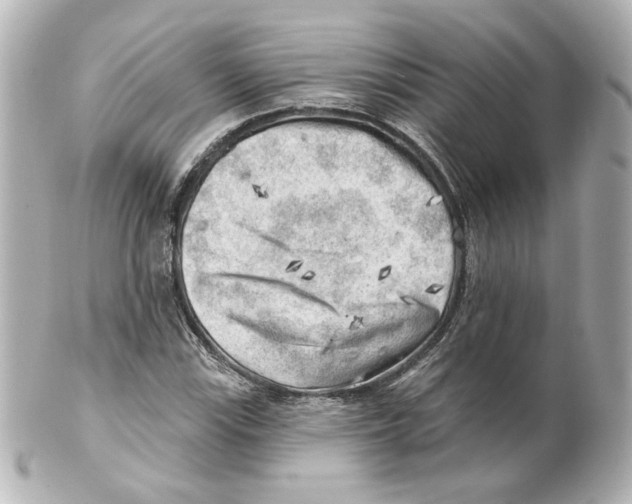 X0000101471115200808041059