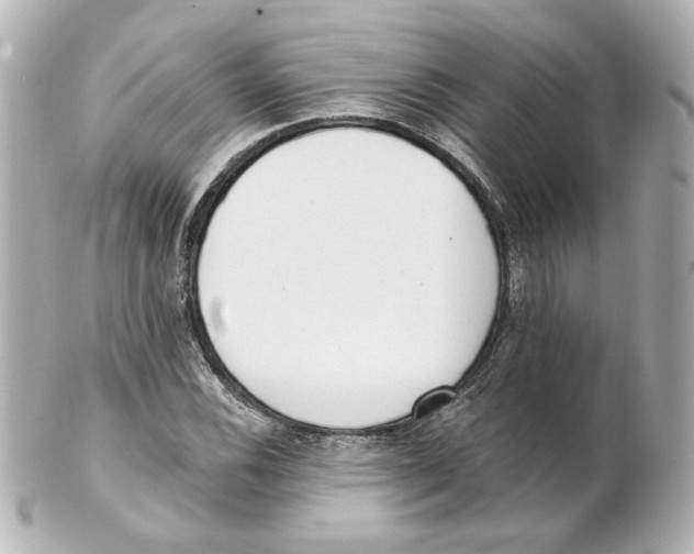 X0000101471116200808041059