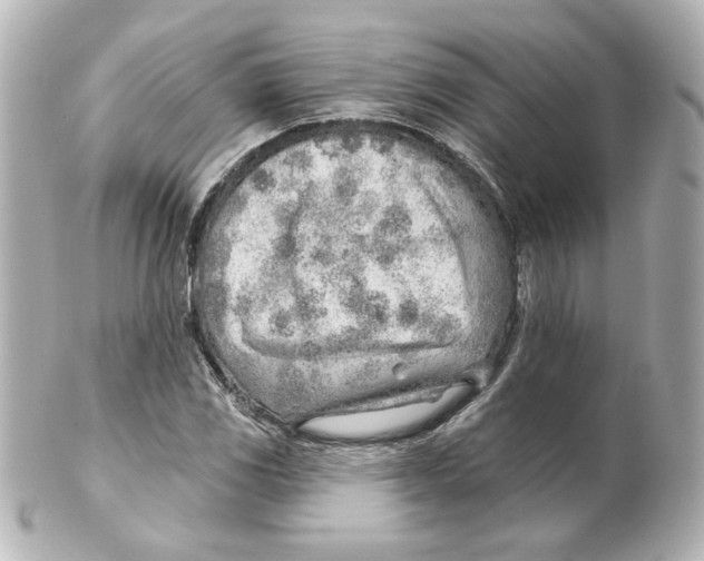 X0000101471117200808041059