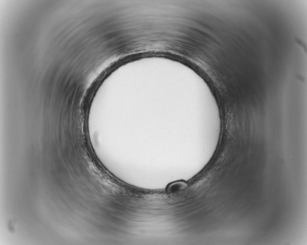 X0000101471118200808041059