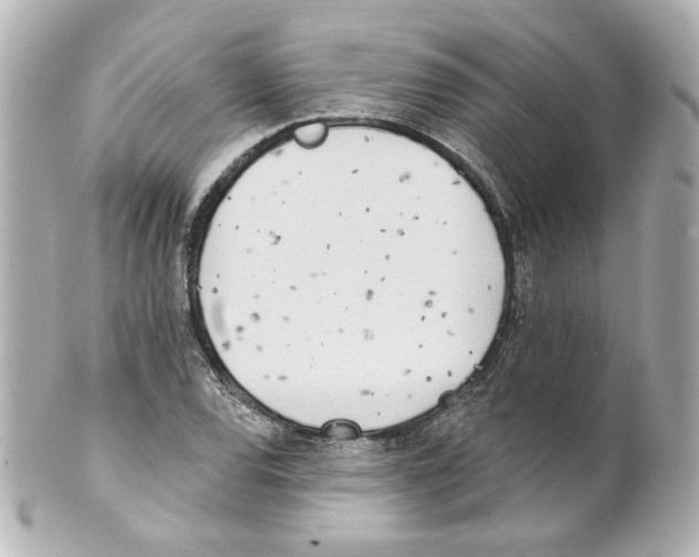 X0000101471120200808041059