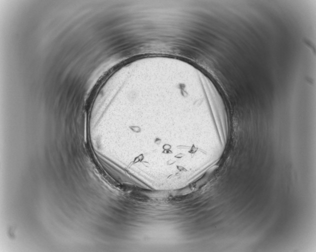 X0000101471123200808041059